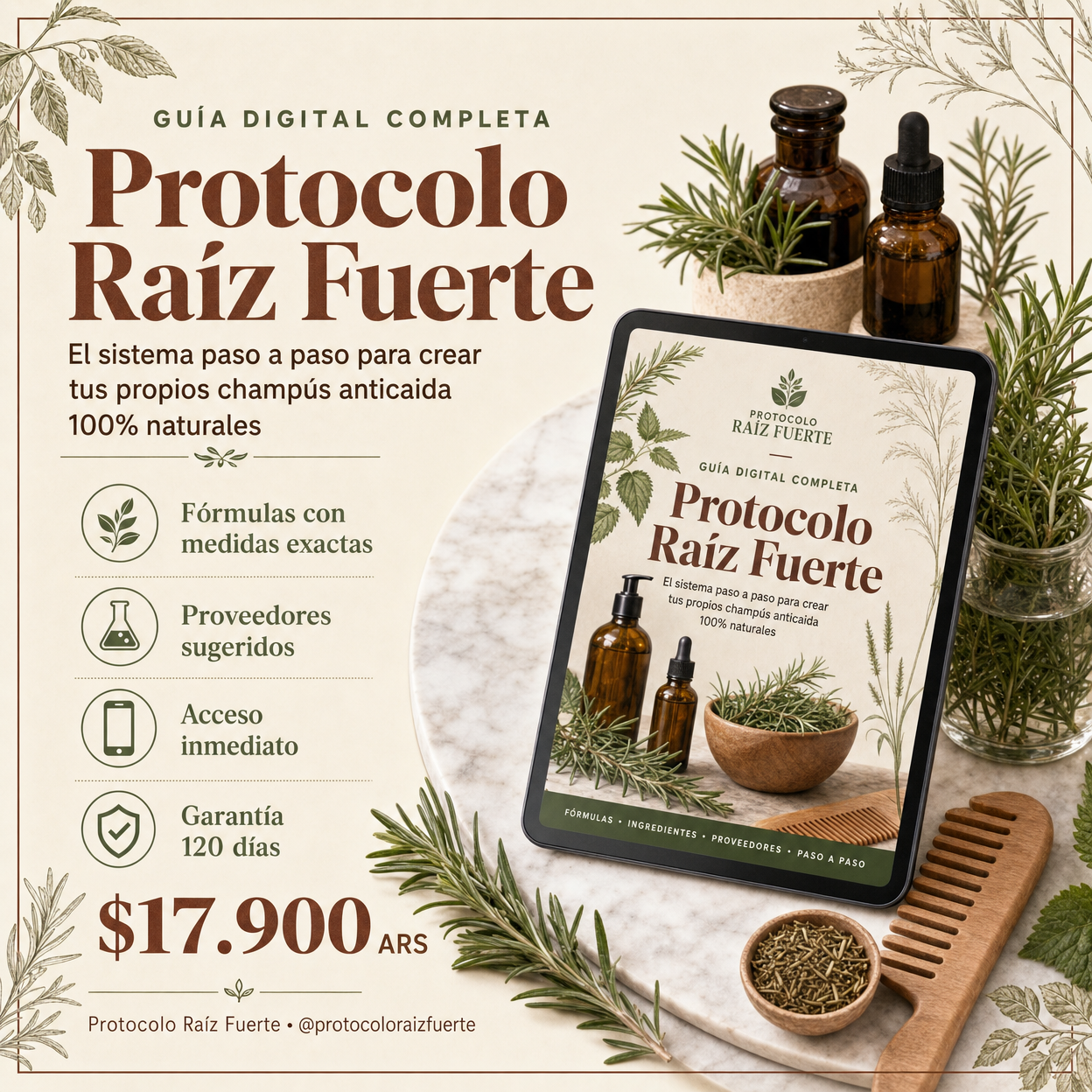 PROTOCOLO RAIZ FUERTE